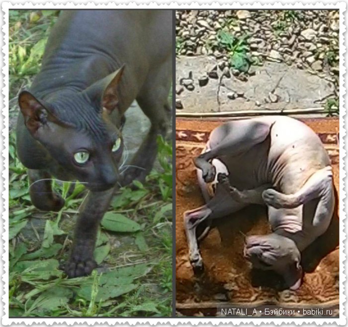 уДачные выходные Элинки | Бэйбики УДачные выходные Элинки — Куклы Iplehouse (Иплхаус): BJD (БЖД)