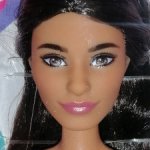 Barbie fashionistas 200, нрфб
