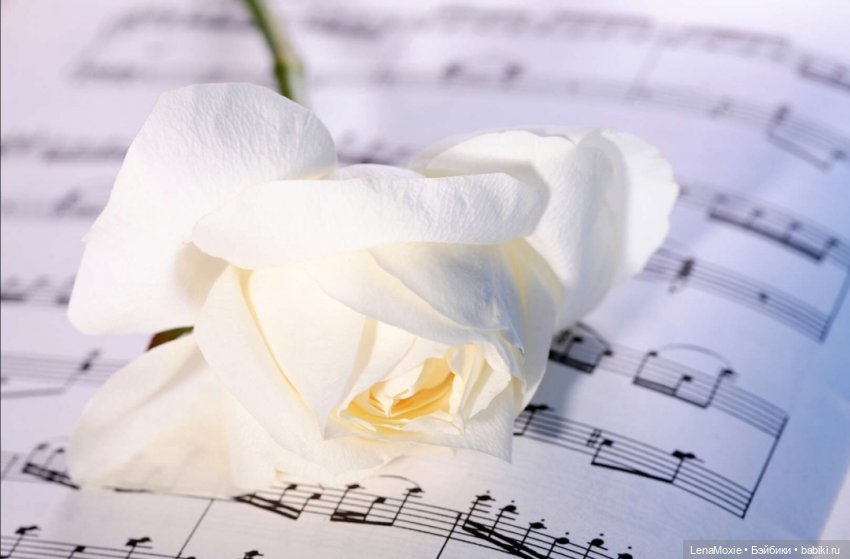 Семь нот памяти — Культура