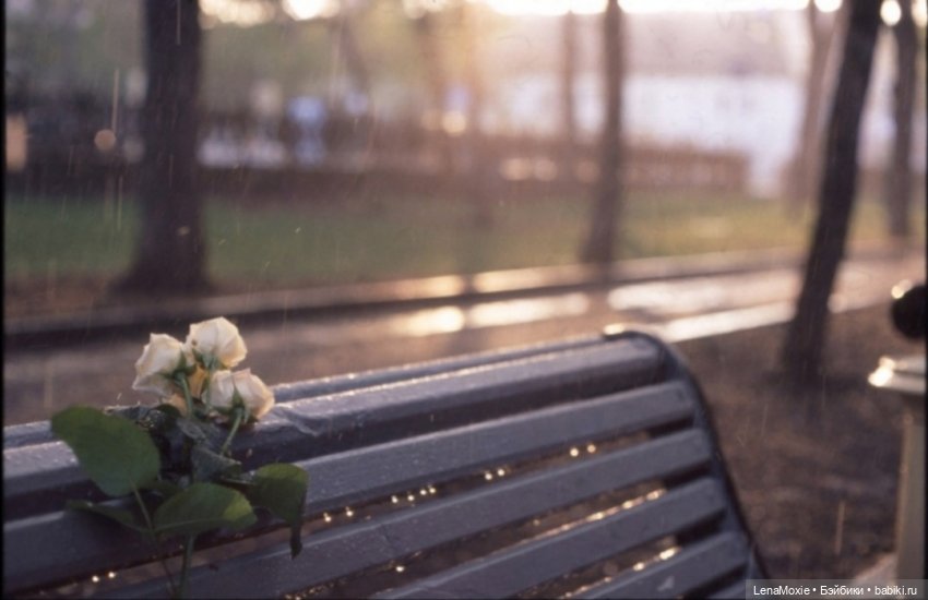 Семь нот памяти — Культура