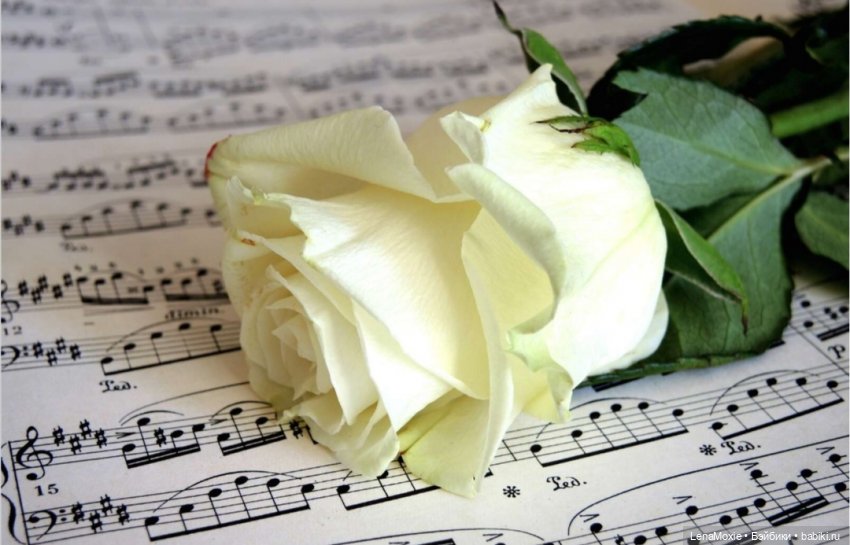 Семь нот памяти — Культура (фото 10)