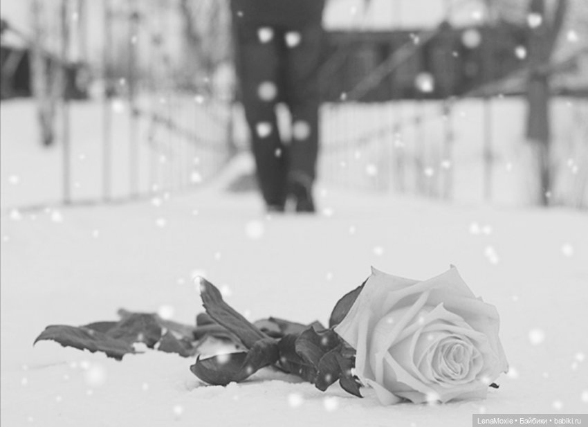 Семь нот памяти — Культура (фото 9)