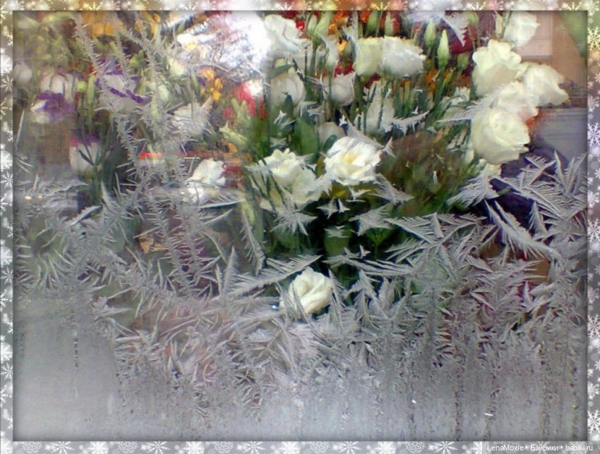 Семь нот памяти — Культура (фото 2)