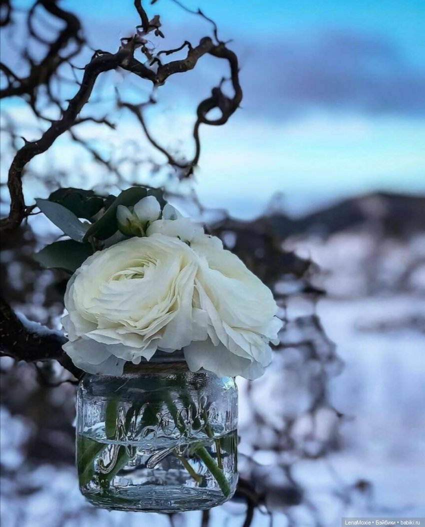 Семь нот памяти — Культура (фото 5)