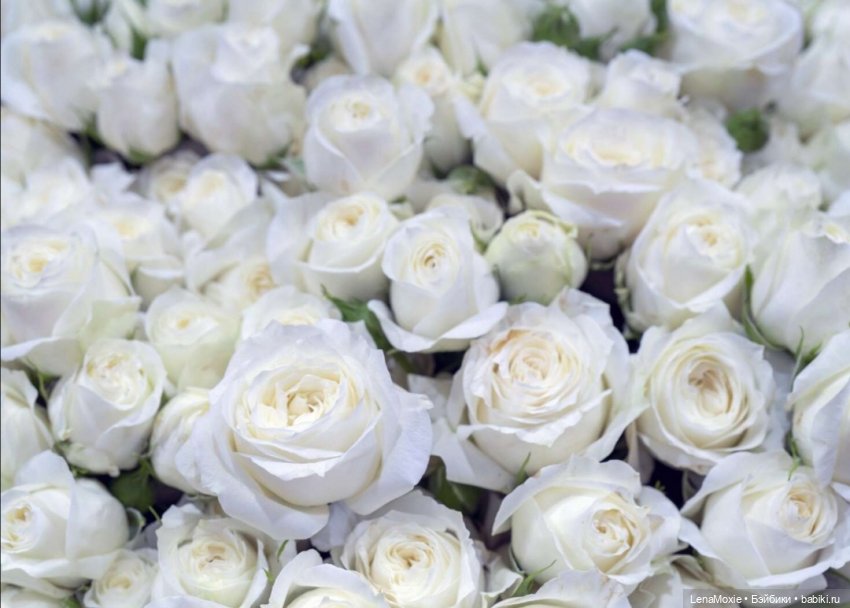 Семь нот памяти — Культура (фото 7)