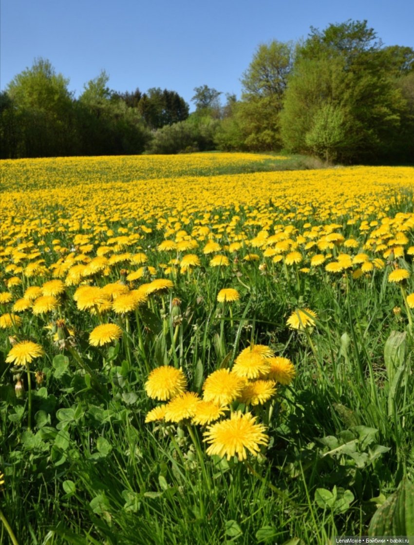 Ко Всемирному дню рукоделия | Бэйбики Ко Всемирному дню рукоделия (фото 5)