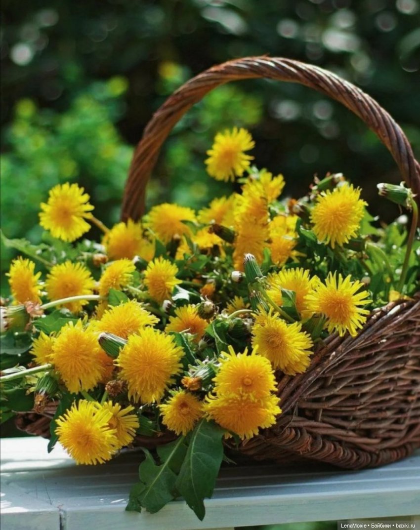 Ко Всемирному дню рукоделия | Бэйбики Ко Всемирному дню рукоделия (фото 7)