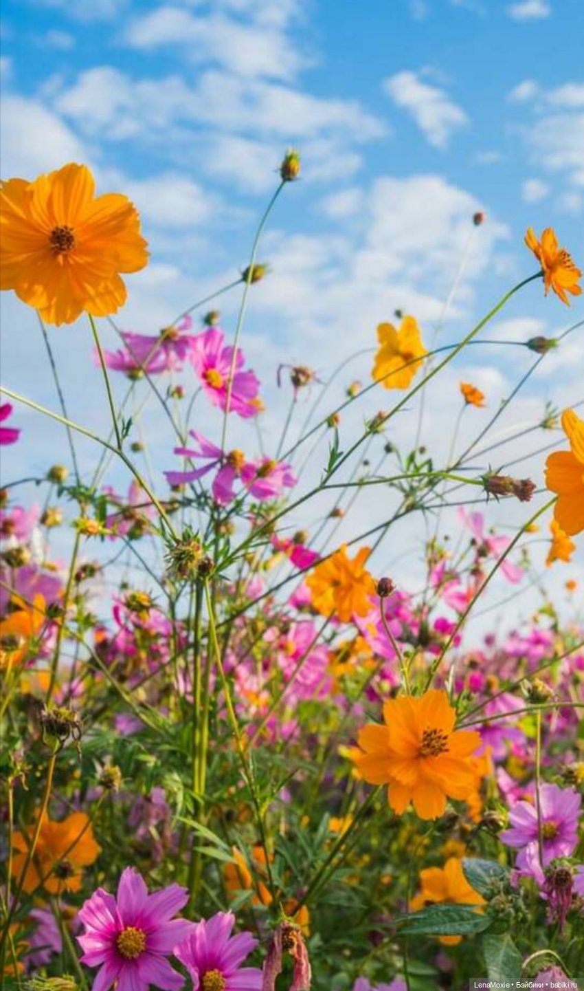Ко Всемирному дню рукоделия | Бэйбики Ко Всемирному дню рукоделия