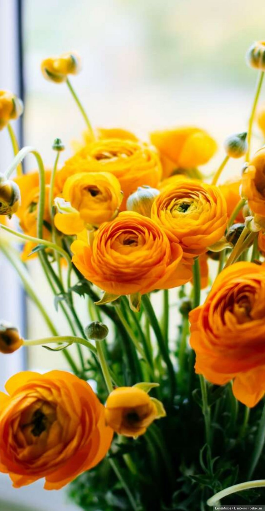 Ко Всемирному дню рукоделия | Бэйбики Ко Всемирному дню рукоделия (фото 6)