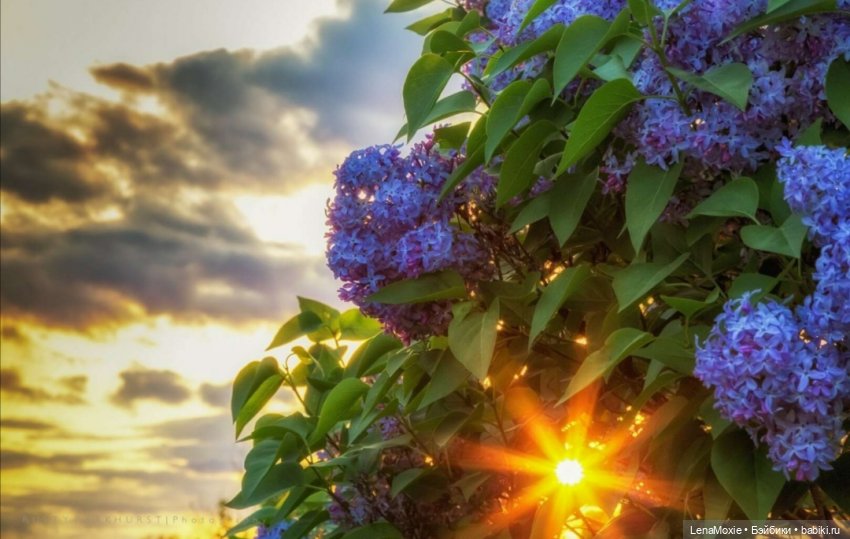 Ко Всемирному дню рукоделия | Бэйбики Ко Всемирному дню рукоделия