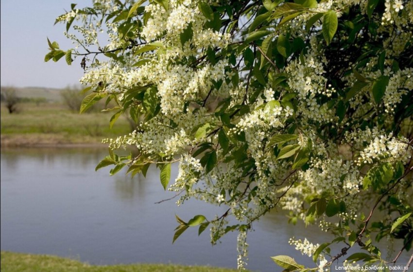 Ко Всемирному дню рукоделия | Бэйбики Ко Всемирному дню рукоделия (фото 8)