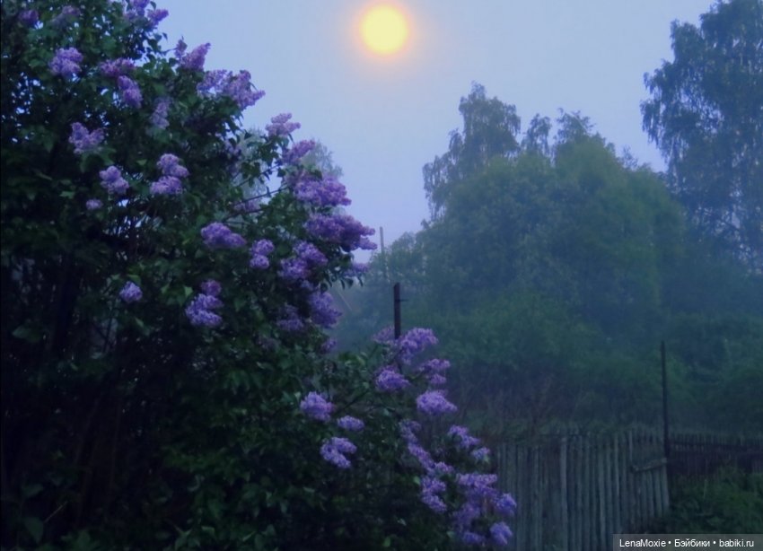 Ко Всемирному дню рукоделия | Бэйбики Ко Всемирному дню рукоделия