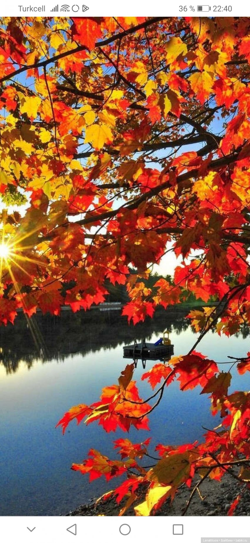 Ко Всемирному дню рукоделия | Бэйбики Ко Всемирному дню рукоделия