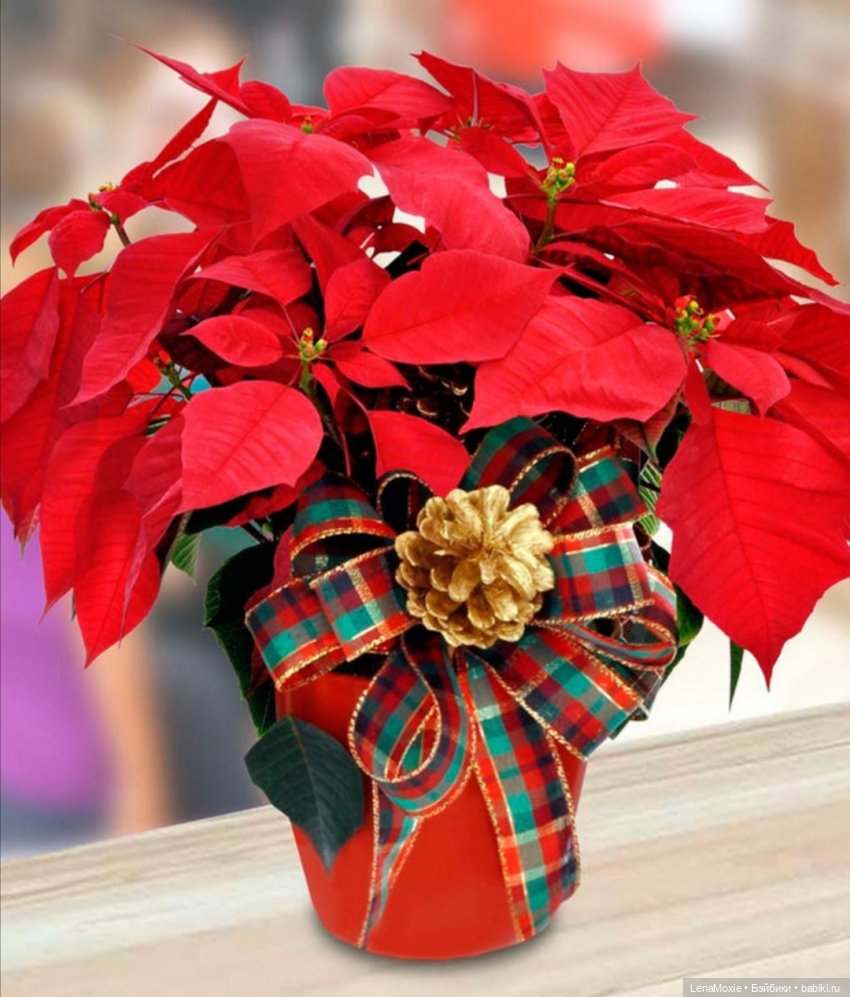 Ко Всемирному дню рукоделия | Бэйбики Ко Всемирному дню рукоделия