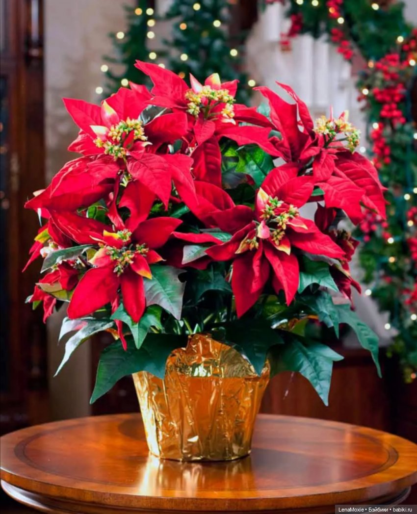 Ко Всемирному дню рукоделия | Бэйбики Ко Всемирному дню рукоделия