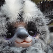 Калифорнийский сказки. Часть I. Yosemite National Park