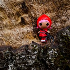 Калифорнийские сказки. Часть 2. Гурр и Кнопа