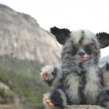 Калифорнийские сказки. Часть 3. Кнопа и ухоногий Бу