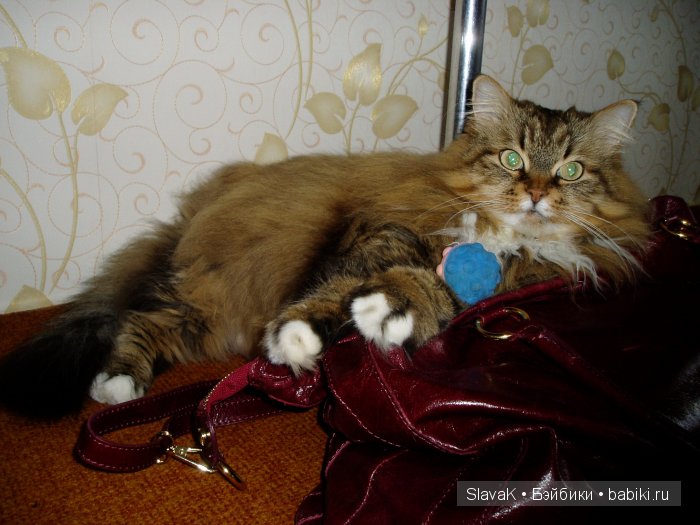 Как у мамы я была, детство вспомнила слегка | Бэйбики Как у мамы я была, детство вспомнила слегка