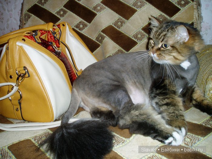 Как у мамы я была, детство вспомнила слегка | Бэйбики Как у мамы я была, детство вспомнила слегка