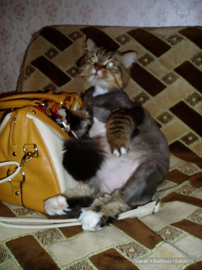 Как у мамы я была, детство вспомнила слегка | Бэйбики Как у мамы я была, детство вспомнила слегка