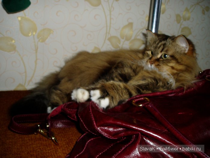 Как у мамы я была, детство вспомнила слегка | Бэйбики Как у мамы я была, детство вспомнила слегка