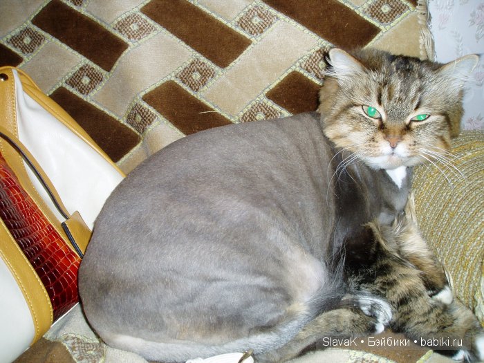 Как у мамы я была, детство вспомнила слегка | Бэйбики Как у мамы я была, детство вспомнила слегка