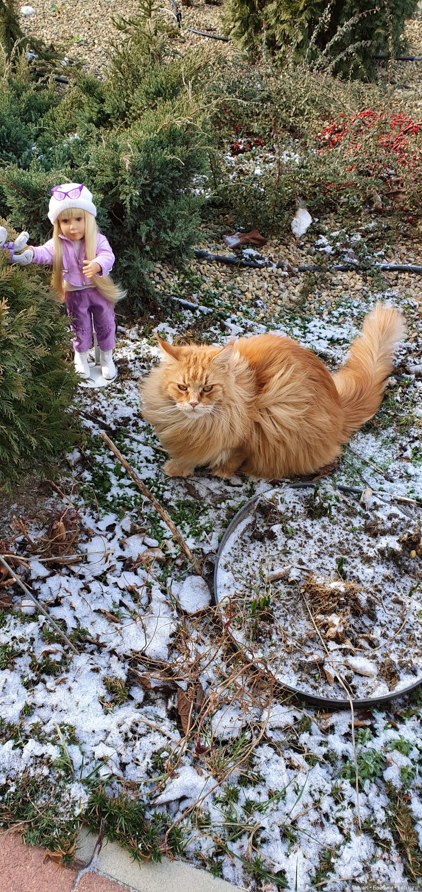 Любовь или дружба — Куклы Kidz'n'Cats (Соня Хартман): шарнирные 46 см (фото 5)