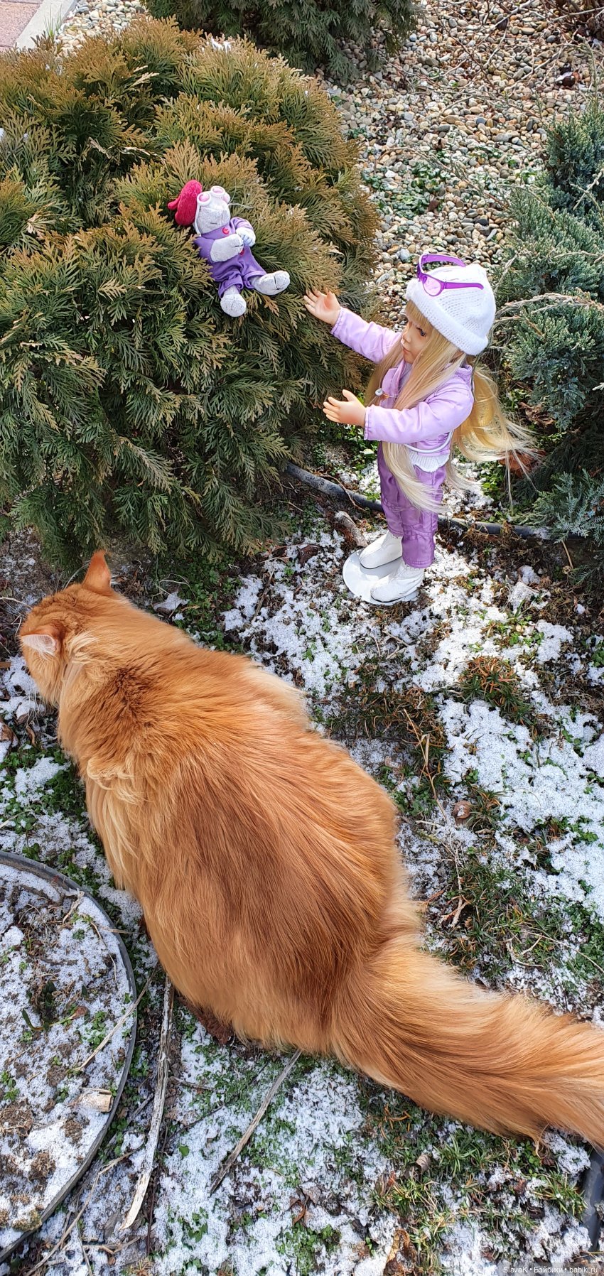 Любовь или дружба — Куклы Kidz'n'Cats (Соня Хартман): шарнирные 46 см (фото 6)