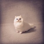 Кукольная миниатюра. Мои творения