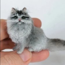 Начинаю все сначала... 😊