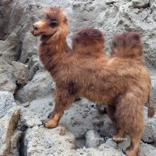 Верблюд Работа на заказ