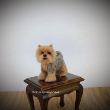 Мои миниатюрные собачки