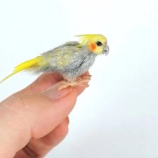 Птички в миниатюре 1:12