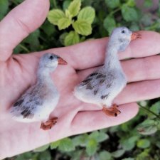 Птичий переполох Часть вторая Гуси