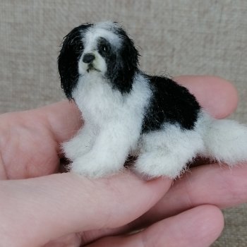 Собака неизвестной породы 🐶