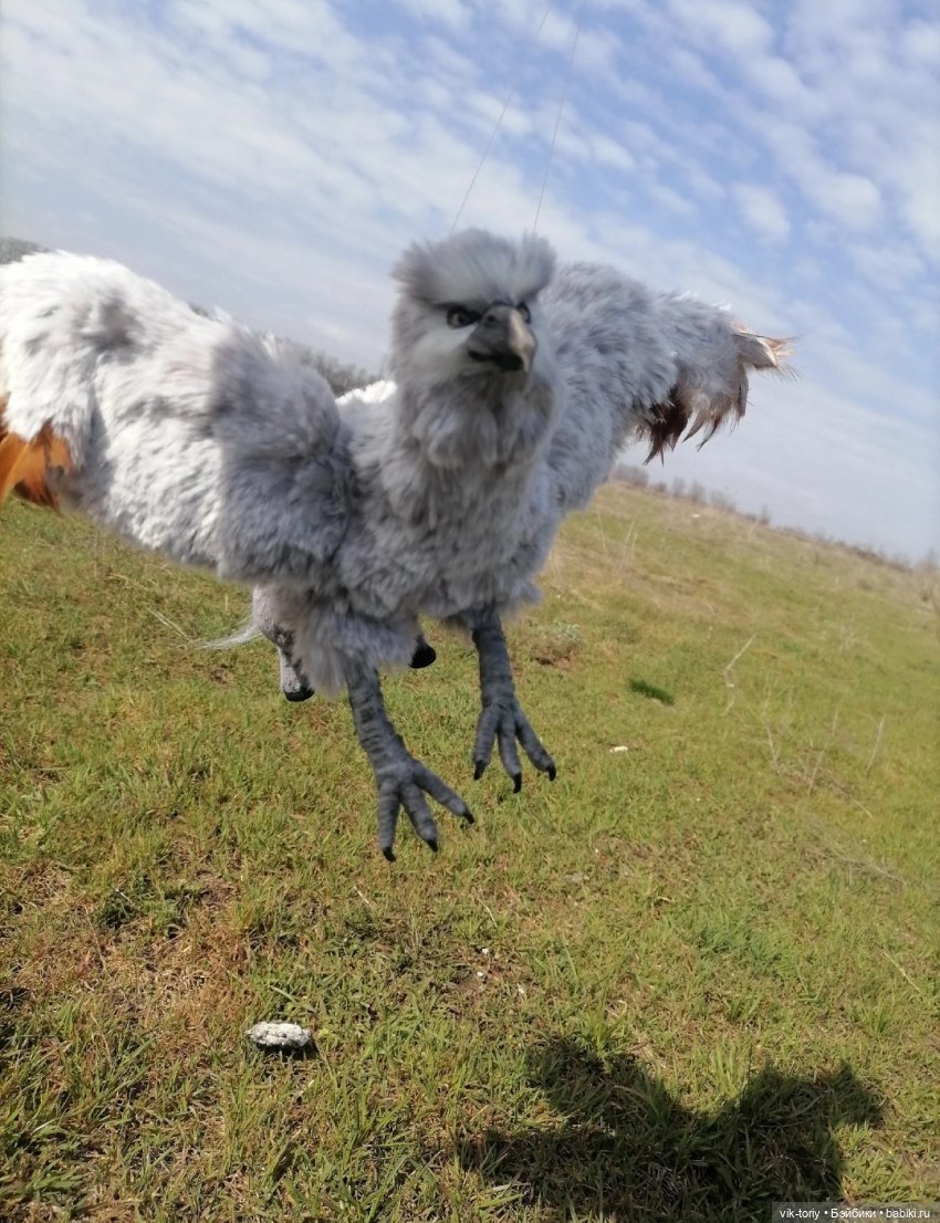 Авторские игрушки и миниатюра - Виктория Чернышева