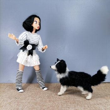 Бордер - колли...