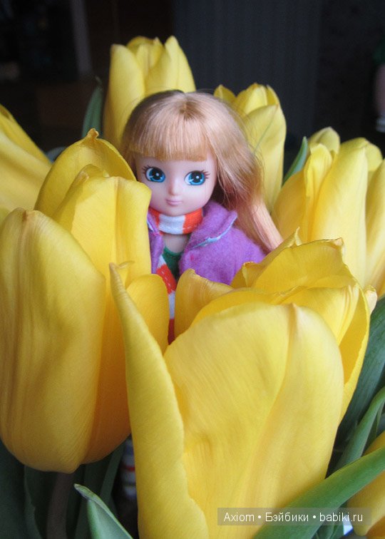 Arklu Lottie Arklu Lottie