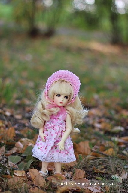 Осенние барышни BJD — Одежда и обувь для кукол BJD (БЖД): 1/3