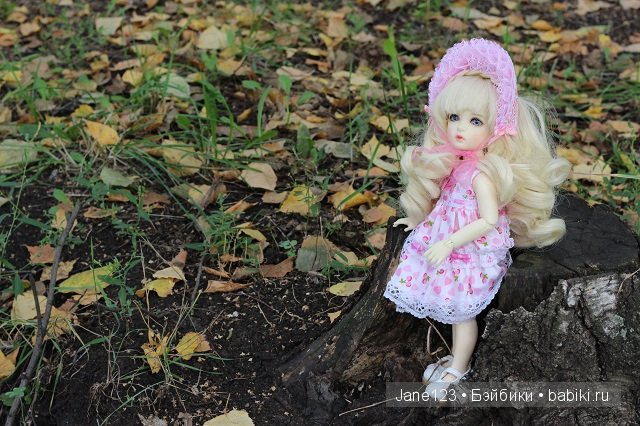 Осенние барышни BJD — Одежда и обувь для кукол BJD (БЖД): 1/3 (фото 3)