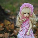 Осенние барышни BJD