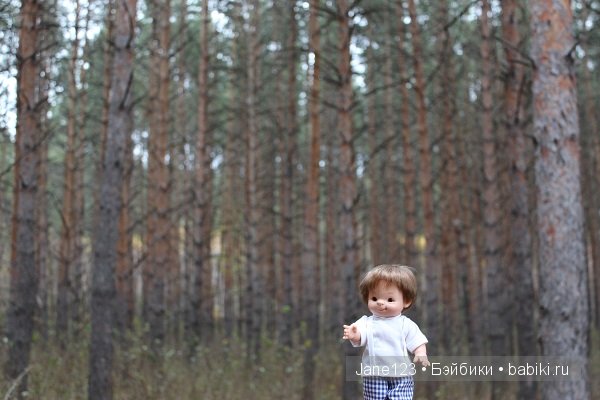 Вяня - путешественник — Интересное и необычное: фотоподборки (фото 8)