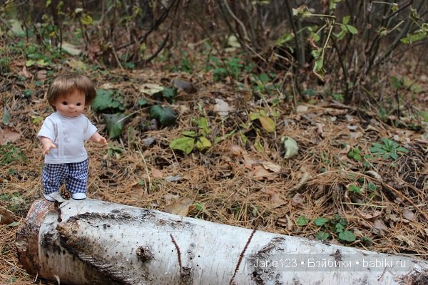 Вяня - путешественник — Интересное и необычное: фотоподборки (фото 7)