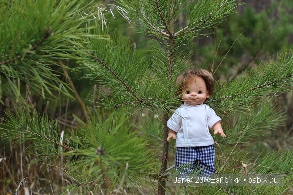 Вяня - путешественник — Интересное и необычное: фотоподборки (фото 6)