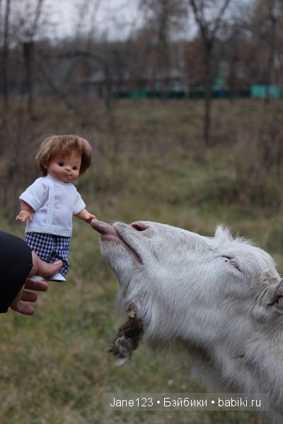 Вяня - путешественник — Интересное и необычное: фотоподборки (фото 9)