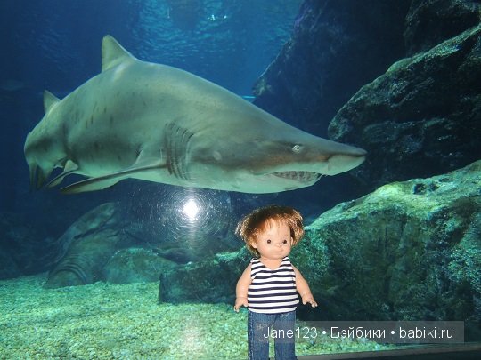 Ваня-путешественник. Бангкок. Часть 1 (фото 5)