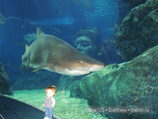 Ваня-путешественник. Бангкок. Часть 1 (фото 6)