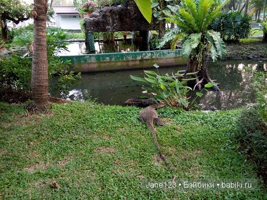 Ваня-путешественник. Бангкок. Часть 2