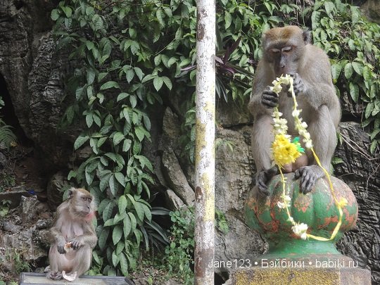 Ваня-путешественник. Малайзия